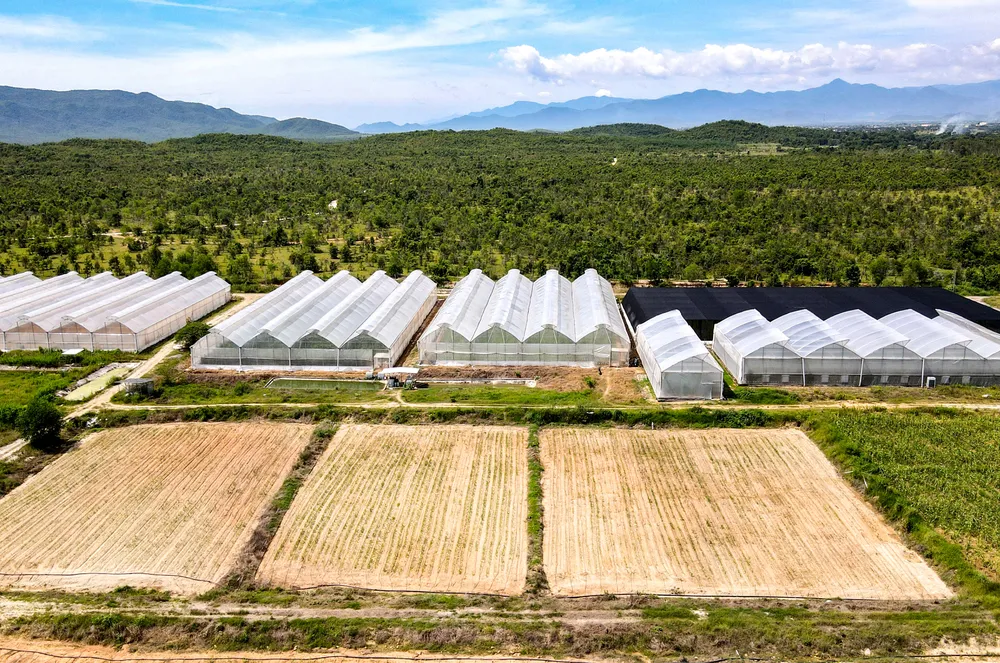 Nhiều khu nông nghiệp công nghệ cao, trang trại được đầu tư bài bản phát triển ở Ninh Thuận. dua luoi 1.jpg