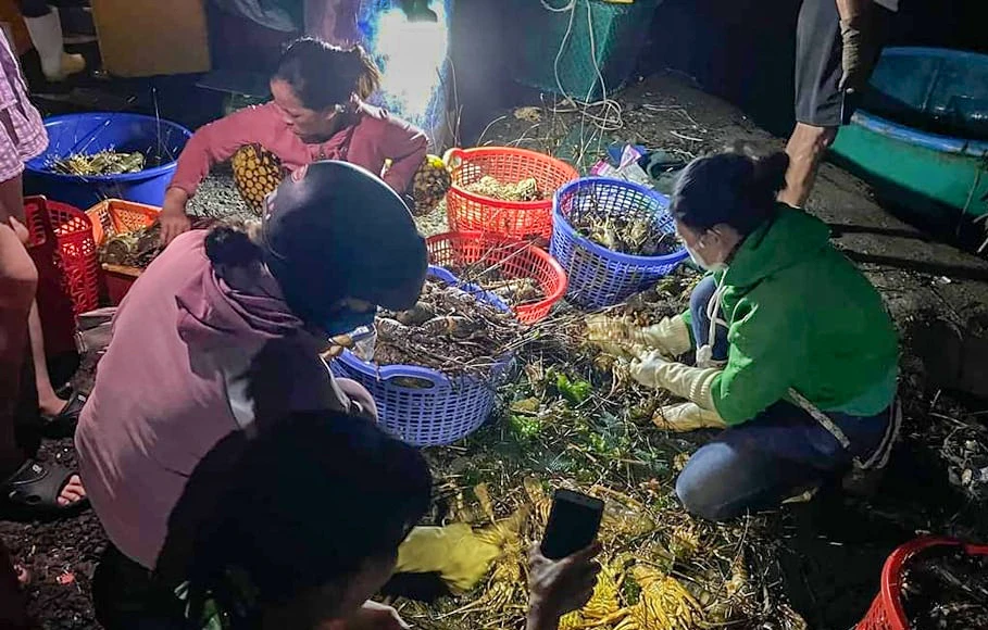 Tôm chết bán với giá rất rẻ nhưng không ai mua. Ảnh: XT 442414366_879460670890786_5807360669127947243_n.jpg