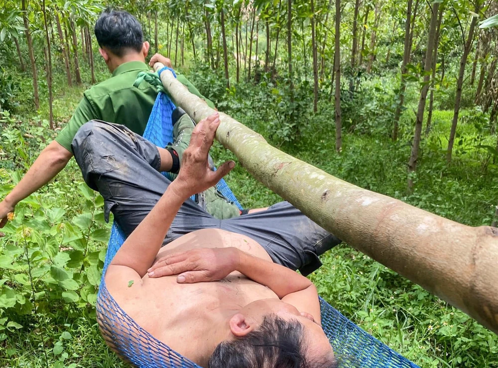 Hai người bị ong đốt gần 200 vết dẫn đến hôn mê. Ảnh: MT 451875124_122182678286035403_7468529305941820637_n.jpg