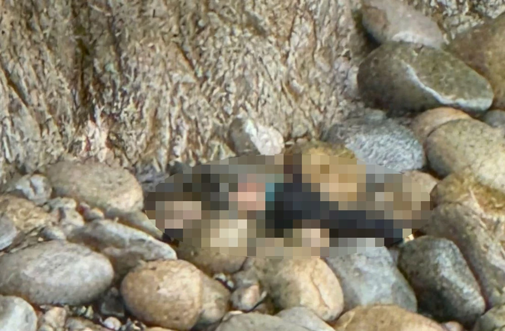 rơi xuống vách núi