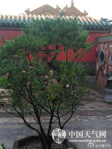 hệ thống thoát lũ Tử Cấm Thành