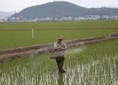 Lý do ông Kim Jong-un không ứng cử Quốc hội Triều Tiên ảnh 3 Ông Kim Jong-un quyết ‘lột xác’ kinh tế Triều Tiên