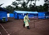 Báo động dịch Ebola bùng phát ở Congo