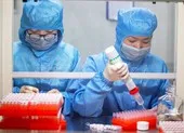 Virus Corona: Hy vọng có vaccine trong thời gian ngắn