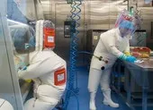 Virus gây COVID-19 còn tồn tại sâu trong phổi người khỏi bệnh ảnh 3 Viện Virus Vũ Hán nghiên cứu chủng Corona mới từ năm 2018?