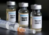 FDA cấp phép sử dụng khẩn cấp vaccine của Pfizer-BioNTech ảnh 3 WHO sẽ sớm quyết về vaccine của Pfizer, Moderna, AstraZeneca