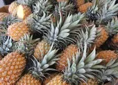 Mỹ, Đài nối lại cuộc họp trao đổi thông tin bản đồ quân sự ảnh 2 Bắc Kinh chặn nhập khẩu dứa, Đài Loan kêu gọi dân ăn nhiều hơn