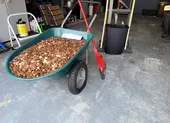 Chuyện cụ ông cảnh sát Mỹ 91 tuổi vẫn chưa có ý định về hưu ảnh 3 Nghỉ việc, được nhận lương là đống tiền xu trộn dầu