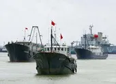 Trăm tàu Trung Quốc ở đá Ba Đầu: Phạm pháp nghiêm trọng!