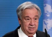 Israel lên tiếng về cáo buộc dùng vũ khí hóa học tại Dải Gaza ảnh 2 TTK LHQ kêu gọi ngưng ngay các cuộc giao tranh Israel-Hamas