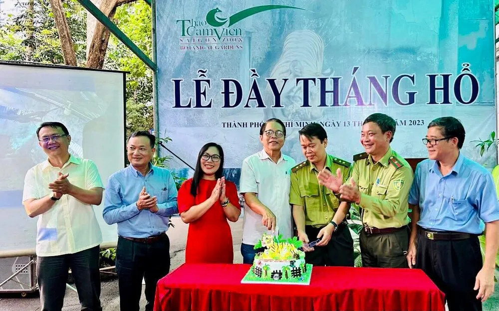 Lãnh đạo Thảo Cầm Viên SG và đại diện Chi cục Kiểm lâm TP.HCM, Bình Dương mừng 'đầy tháng' cho 2 chú hổ. Ảnh: TCV Lãnh đạo Thảo Cầm Viên SG và đại diện Chi cục Kiểm lâm TP.HCM, Bình Dương mừng 'đầy tháng' cho 2 chú hổ. Ảnh: TCV