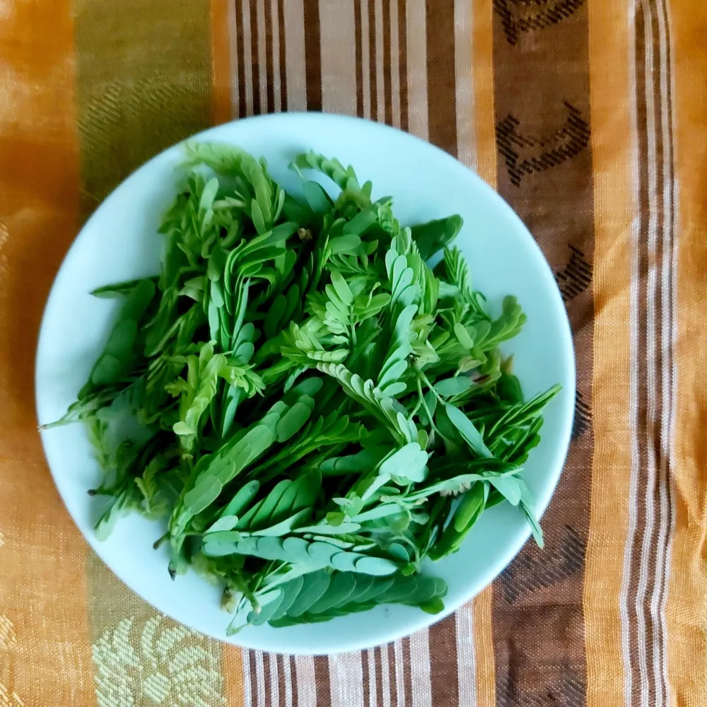 Lá me non làm nên sự độc đáo của ẩm thực Chăm - Ảnh: CHẾ DIỄM TRÂM