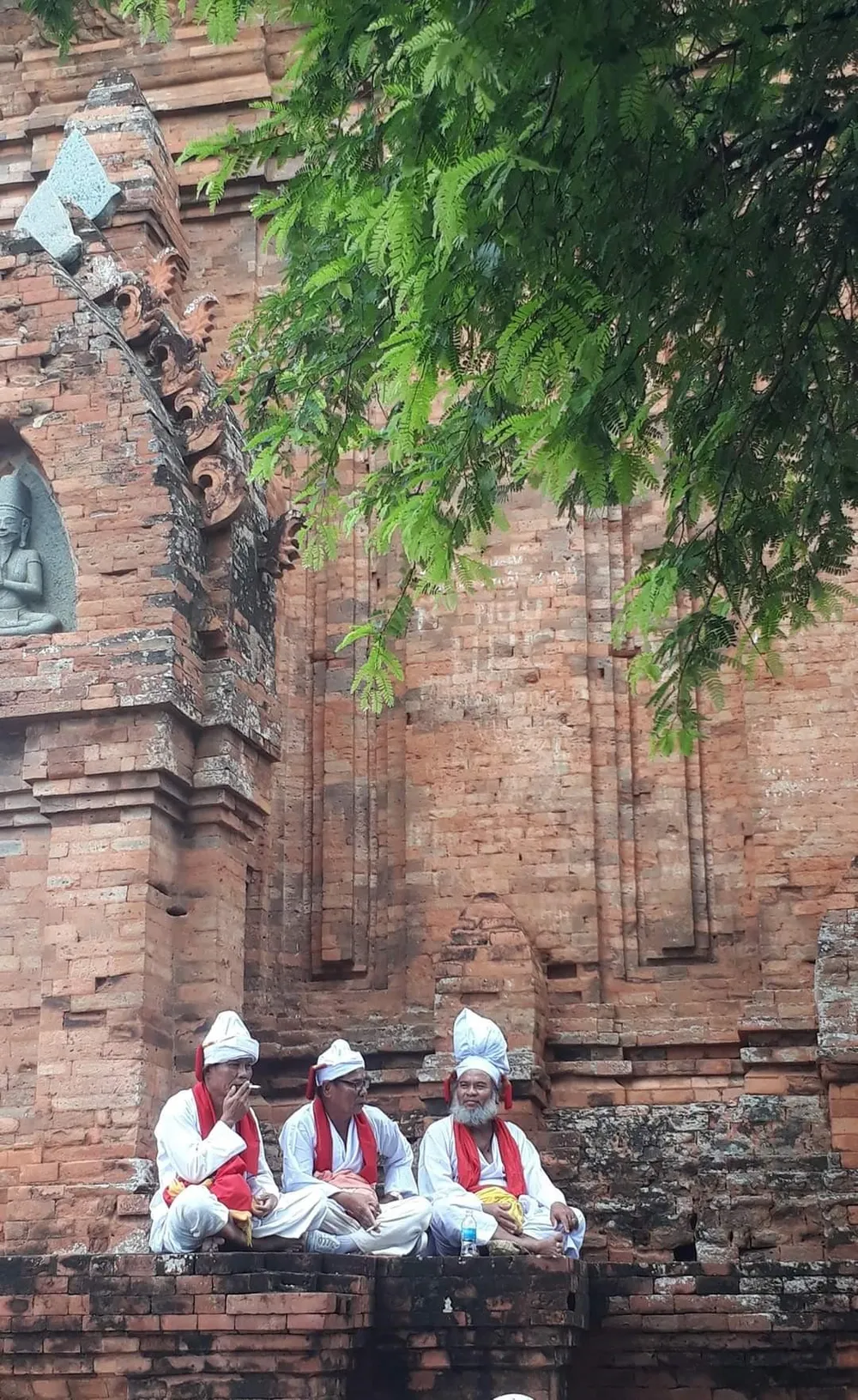 Cây me trên tháp Po Klong Garai (Ninh Thuận) - Ảnh: CHẾ DIỄM TRÂM