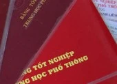 Buộc thôi việc 1 hiệu trưởng dùng bằng giả
