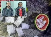 Thuê lại nhà nghỉ kinh doanh rồi môi giới bán dâm ảnh 3 Nhét ma túy vào ruột quả dưa hấu chở đi bán thì bị bắt