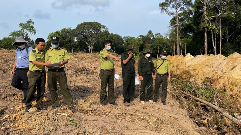 Lực lượng chức năng TP Phú Quốc phát hiện nhóm phá rừng quốc gia. Ảnh: PD