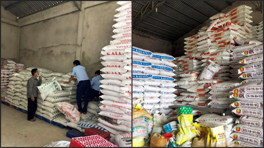 Kiểm tra đột xuất tại Công ty CHG có trụ sở tại xã Bình Giang, lực lượng QLTT phát hiện đơn vị này có hành vi buôn bán phân bón giả. Ảnh: DMS