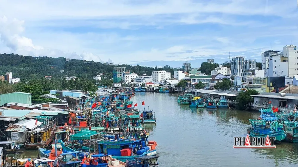 Tỉnh Kiên Giang là một trong 28 tỉnh, thành ven biển có đội tàu lớn nhất cả nước, tính đến tháng 9-2022, toàn tỉnh có 9.800 tàu đánh bắt thủy sản. Ảnh: CHÂU ANH