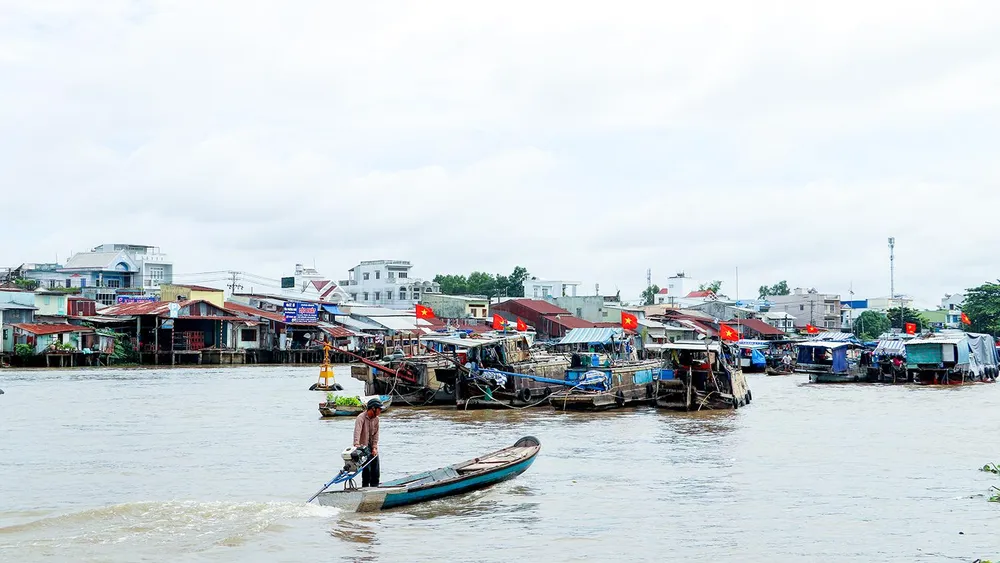 Đa số các phương tiện neo đậu tại chợ nổi Cái Răng chưa được đăng ký, đăng kiểm đúng quy định do nhiều nguyên nhân khách quan. Ảnh: CHÂU ANH