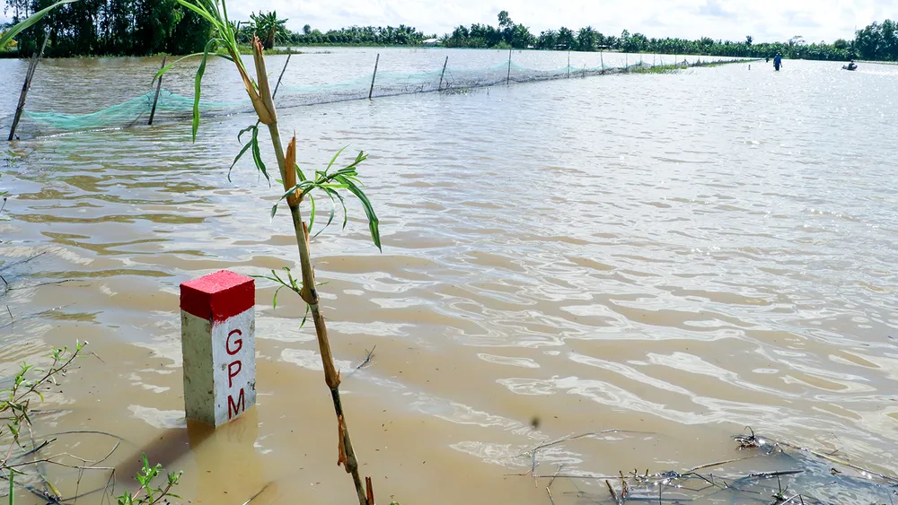 Công tác GPMB, bồi thường, hỗ trợ, tái định cư các tuyến cao tốc trên địa bàn tỉnh Hậu Giang được địa phương tiến hành khẩn trương, nghiêm túc. Ảnh minh họa: MINH THƯ Công tác GPMB, bồi thường, hỗ trợ, tái định cư các tuyến cao tốc trên địa bàn tỉnh Hậu Giang được địa phương tiến hành khẩn trương, nghiêm túc. Ảnh minh họa: MINH THƯ