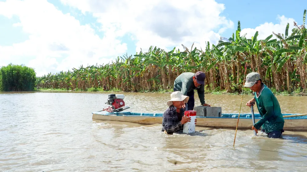Đến nay, Hậu Giang đã hoàn thành công tác cắm cọc giải phóng mặt bằng cao tốc Châu Đốc - Cần Thơ - Sóc Trăng. Ảnh: BT