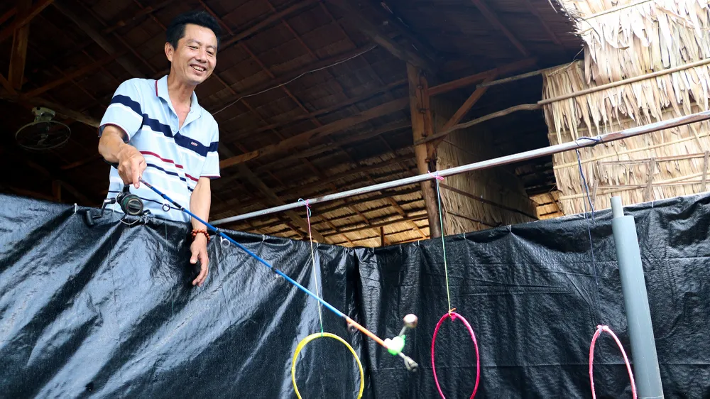 Ông Càng tiết lộ để cho ra đời sản phẩm du lịch ếch nhảy vòng làm xiếc ông đã ấp ủ, tập luyện hơn một năm qua, ngay từ khi chọn giống về đã tập từ cho ăn đến cảm nhận âm thanh. Ảnh: CHÂU ANH