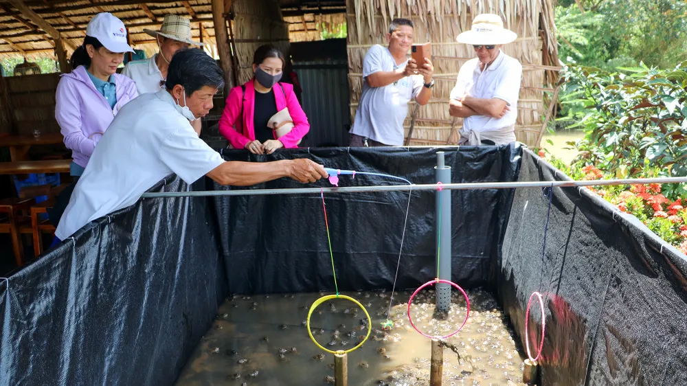 Du khách thích thú trải nghiệm làm cho các &quot;vận động viên&quot; ếch nhảy qua vòng. Ảnh: CHÂU ANH