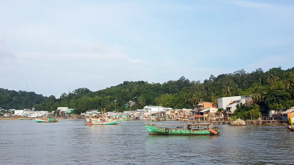 Kiên Giang cấm khai thác, kinh doanh nghêu lụa, sò lông, sò huyết và hến trong thời gian sáu tháng, kể từ ngày 1-7. Ảnh: TUẤN THY Kiên Giang cấm khai thác, kinh doanh nghêu lụa, sò lông, sò huyết và hến trong thời gian sáu tháng, kể từ ngày 1-7. Ảnh: TUẤN THY