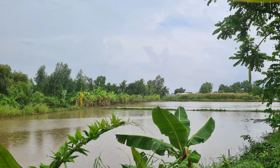 Đi bơm nước sạ lúa, 1 người bị sét đánh tử vong