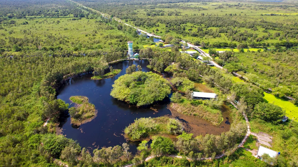 UBND tỉnh Kiên Giang yêu cầu chủ động, tăng cường các biện pháp cấp bách phòng cháy chữa cháy rừng