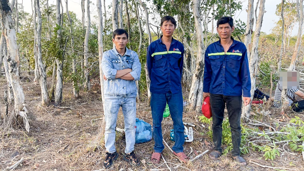 Huỳnh Phước Tiền (bìa trái) đã thuê ông Nguyễn Việt Phương và ông Trương Minh Thương phá rừng. Ảnh: KL Tạm giữ 3 người có hành vi hủy hoại rừng ở Phú Quốc