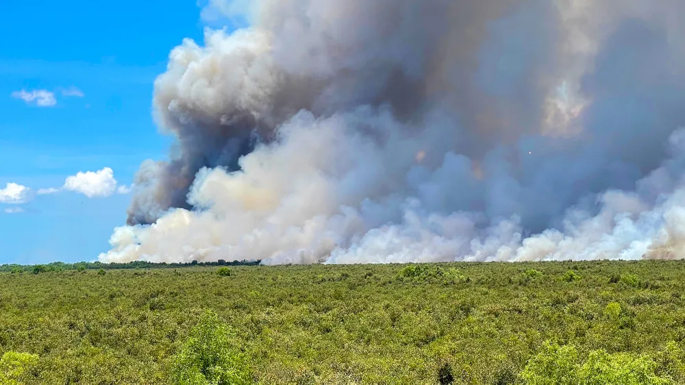 Kiên Giang: Vụ cháy ở Giang Thành xảy ra trên 371 ha rừng phòng hộ