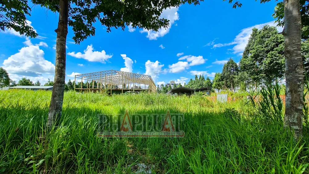 Khu đất mà Công ty H&B trúng đấu giá quyền thuê đất để triển khai dự án “Siêu thị và khu đa chức năng”. Ảnh: CHÂU ANH Dự án siêu thị và khu đa chức năng ở tỉnh Hậu Giang 10 năm chưa thể triển khai do đâu?