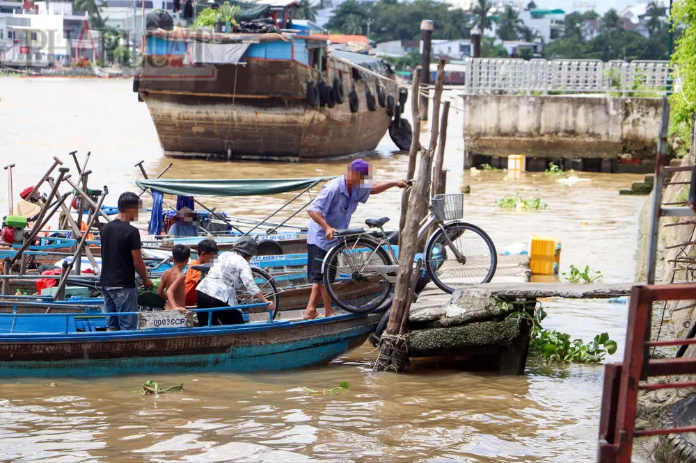 Do không được cấp phép, không đáp ứng theo quy định, các phương tiện xuồng đuôi tôm đưa khách sang sông tiềm ẩn xảy ra tai nạn giao thông đường thủy rất cao. Ảnh: CHÂU ANH tp-can-tho-xuong-may-duoi-tom-ben-ninh-kieu-7.jpg