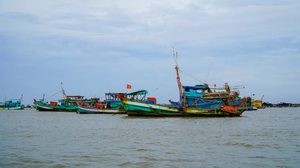 Tỉnh Kiên Giang đã nhập căn cước công dân lên VNFishbase đạt tỉ lệ hơn 97%