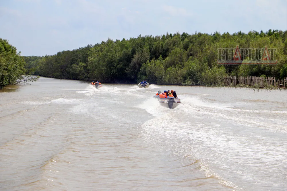 du-lich-tinh-ca-mau-xuyen-rung-mui-ca-mau-11.jpg