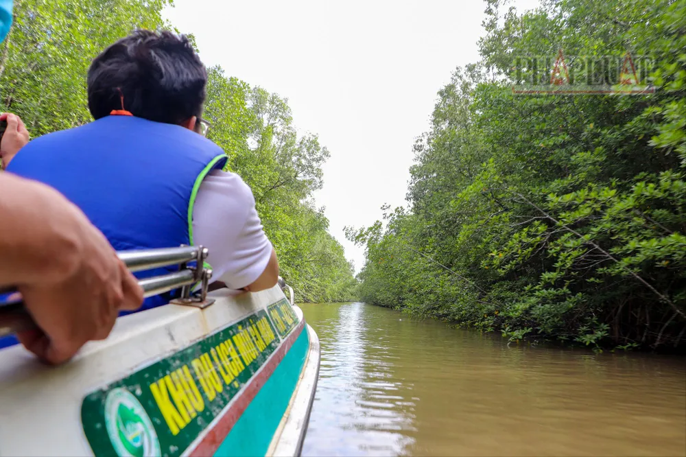 Trải nghiệm xuyên rừng Vườn Quốc gia Mũi Cà Mau