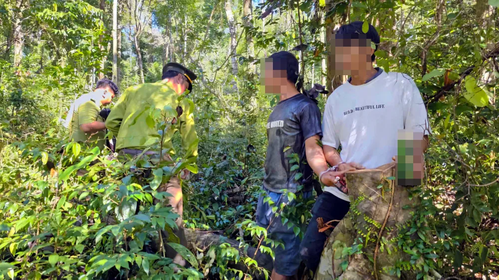 Bắt quả tang 2 người đang khai thác rừng trái phép tại Vườn quốc gia Phú Quốc