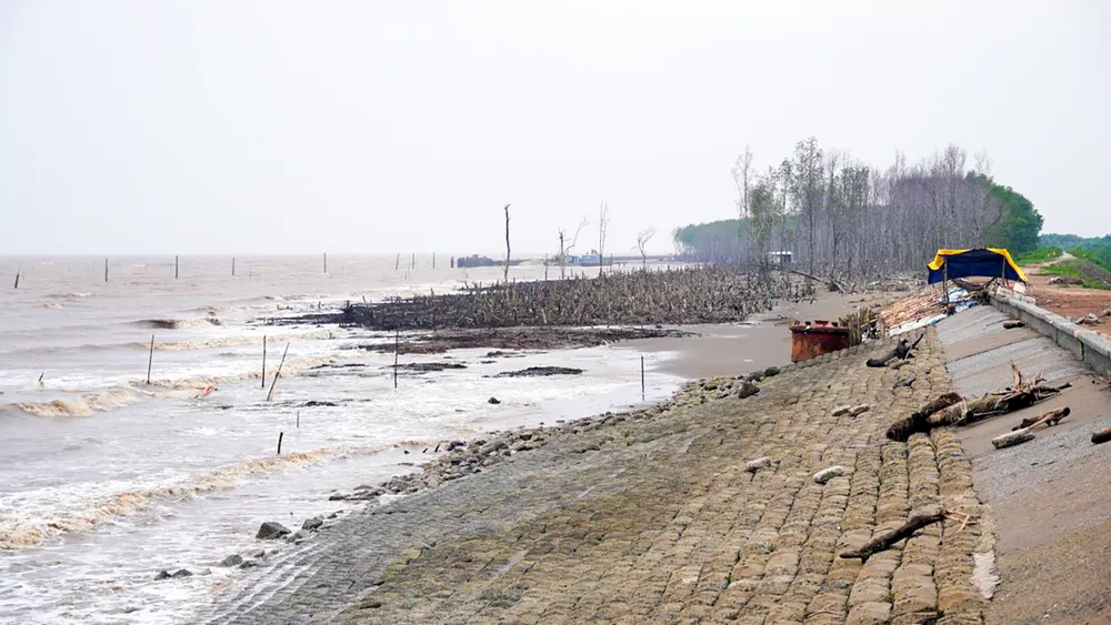 TP Cần Thơ công bố tình huống khẩn cấp về thiên tai sự cố sạt lở bờ biển