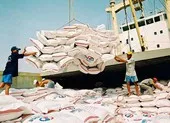 Bộ Công Thương kiến nghị xuất khẩu 400.000 tấn gạo vào tháng 4 ảnh 2 Chính thức tạm dừng xuất khẩu gạo từ 24-3 vì COVID-19
