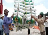 Bộ Công Thương hỏa tốc xin ý kiến xuất khẩu gạo nếp