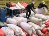 Diễn biến mới nhất về vụ đăng ký xuất khẩu gạo lúc nửa đêm