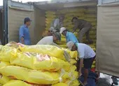 Nhiều vướng mắc về xuất khẩu gạo được tháo gỡ