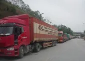 Khuyến cáo tạm dừng đưa nông sản lên biên giới Việt-Trung