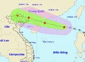 Bão chưa đổ bộ, đã có 8 người thương vong do mưa lũ ảnh 3 Bão số 4 giật cấp 10 trên biển Đông