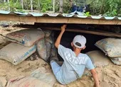 Bão số 9 với sức gió khủng khiếp, đang cách Phú Yên 390km ảnh 2 Quảng Nam: Người dân làm hầm tránh bão số 9