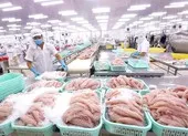 Trung Quốc siết chặt kiểm tra thủy sản đông lạnh nhập khẩu ảnh 2 Cá tra Việt lại lo tắc đường sang Trung Quốc