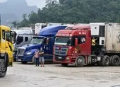 Trung Quốc lấy mẫu, khử trùng hàng loạt hàng hóa nhập khẩu ảnh 2 Hàng ùn ứ, có xe 4 ngày mới xong thủ tục xuất sang Trung Quốc