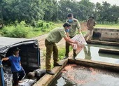 Đồng Nai: Sản xuất phân bón giả, nhiều đối tượng bị khởi tố ảnh 3 Kiên Giang tiêu hủy 3,2 tấn phân bón giả