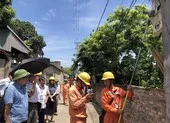 EVN phấn đấu trồng 1 triệu cây xanh ảnh 3 Năm 2019, sản xuất kinh doanh điện của EVN lãi 523 tỷ đồng